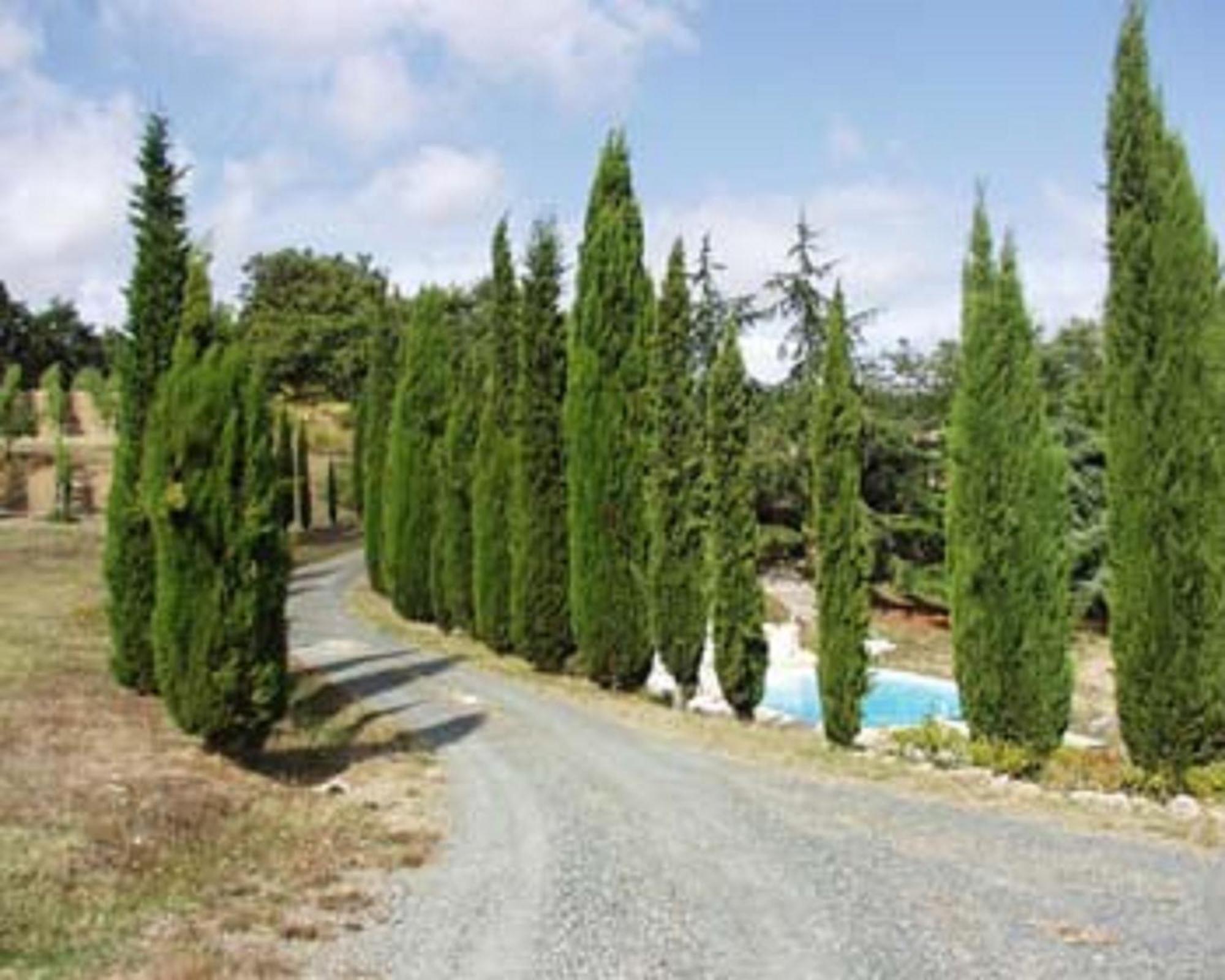Sassi Bianchi Guest House Sensano Exterior photo
